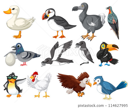Colorful Collection of Cartoon Birds Colorful Collection of Cartoon Birds 114627995