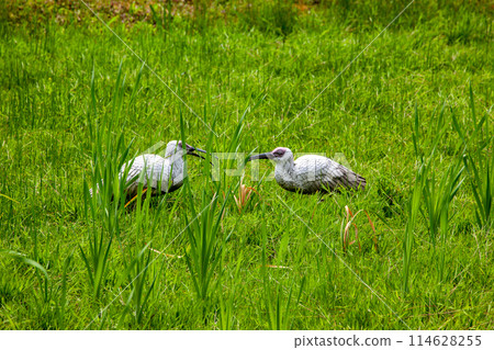 時之森公園 114628255