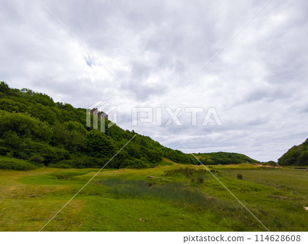 Grassland with a view of an old castle on a hill (Three Cliffs Bay, Wales, UK) 114628608