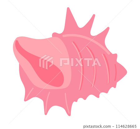 Tropical pink seashell in flat design. Spiked shell, beach cockleshell. Vector illustration isolated. Tropical pink seashell in flat design. Spiked shell, beach cockleshell. Vector illustration isolated. 114628665