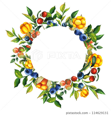 Watercolor round frame with hand drawn cloudberry, cranberry, cowberry and blueberry with berries, leaves, branches. Botanical forest berry illustration on white isolated background. Good for banner, 114629131