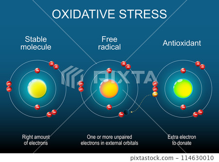 Free radical, Stable molecule and Antioxidant. Atom structure. Free radical, Stable molecule and Antioxidant. Atom structure. 114630010
