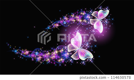 Magic two butterflies with fantasy sparkle, blazing trail and glowing stars on black background 114630578