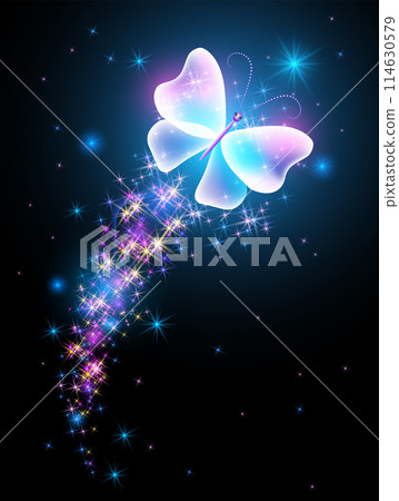 Magic butterfly with fantasy sparkle, blazing trail and glowing stars on black background 114630579