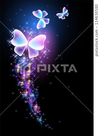 Magic butterfly with fantasy sparkle, blazing trail and glowing stars on black background Magic butterfly with fantasy sparkle, blazing trail and glowing stars on black background 114630580