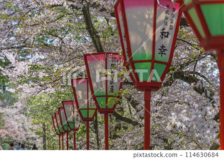 Spring scenery of Kenrokuen Garden, Kanazawa 114630684