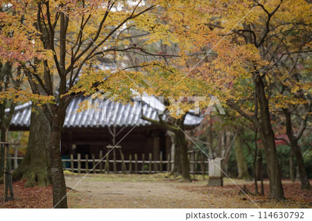 Shoshasan Engyo-ji Temple and autumn maple leaves 114630792