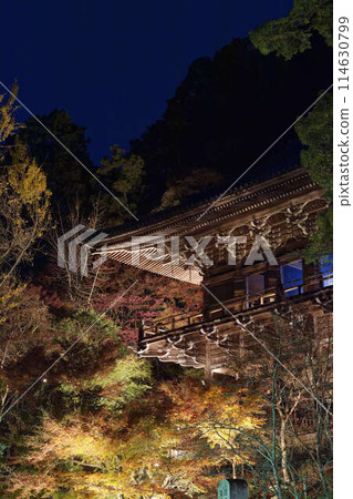 書寫山圓寺被燈光照亮的秋葉所包圍 書寫山圓寺被燈光照亮的秋葉所包圍 114630799