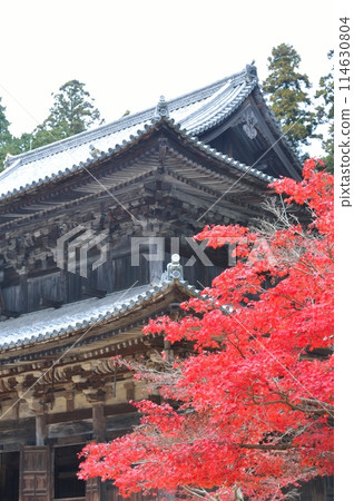 被秋葉包裹的書寫山圓教寺鐘樓 被秋葉包裹的書寫山圓教寺鐘樓 114630804