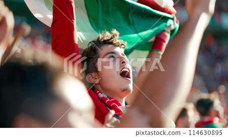 a soccer fan, their eyes shining with passion as they raise their scarf high in the air 114630895