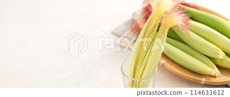 Corn tips, corn shoots, vegetables, baby corn husk Corn tips, corn shoots, vegetables, baby corn husk 114631612