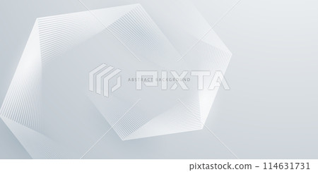 modern abstract background Vector illustration 114631731