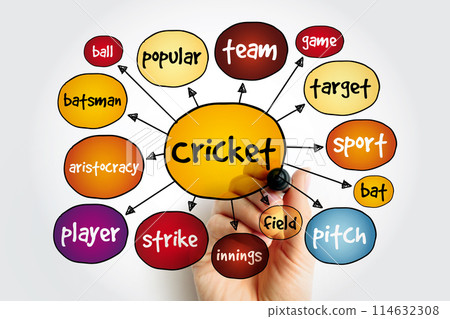Cricket mind map, sport concept for presentations and reports 114632308