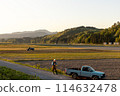 Spring sunset landscape of rice fields being plowing 114632478