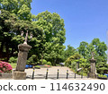 Yurakumon Gate at Hibiya Park, surrounded by fresh greenery 114632490