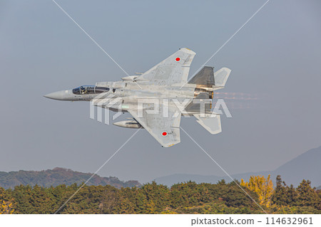 Fighter plane flying low Fighter plane flying low 114632961
