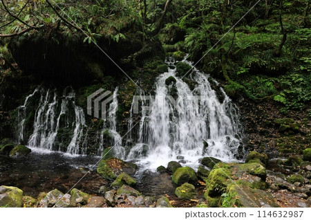Mototaki Underflow Water is a waterfall created by spring water overflowing from the end cliff of the lava of Mt. Chokai. Mototaki Underflow Water is a waterfall created by spring water overflowing from the end cliff of the lava of Mt. Chokai. 114632987