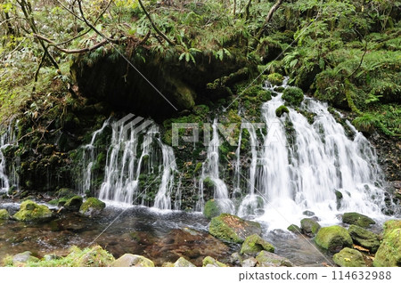 Mototaki Underflow Water is a waterfall created by spring water overflowing from the end cliff of the lava of Mt. Chokai. Mototaki Underflow Water is a waterfall created by spring water overflowing from the end cliff of the lava of Mt. Chokai. 114632988