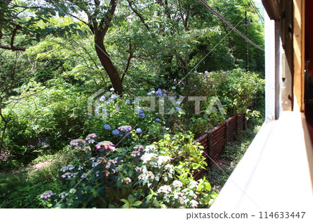 從箱根登山電車Moha 1等車窗看到的風景 114633447