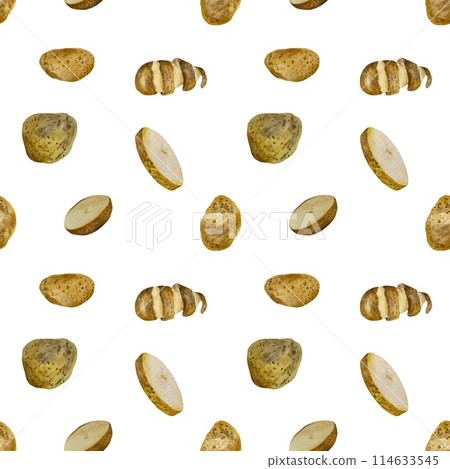 Potato whole cut half watercolor sketch pattern  114633545