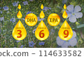 脂肪酸圖像插圖與亞麻花背景歐米伽 3、歐米伽 6、歐米伽 9、DHA、EPA 114633582
