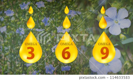 脂肪酸圖像插圖與亞麻花背景歐米伽 3、歐米伽 6、歐米伽 9 脂肪酸圖像插圖與亞麻花背景歐米伽 3、歐米伽 6、歐米伽 9 114633583