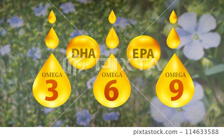 Fatty acid image illustration with flax flower (blurred) background: Omega 3, Omega 6, Omega 9, DHA, EPA 114633588
