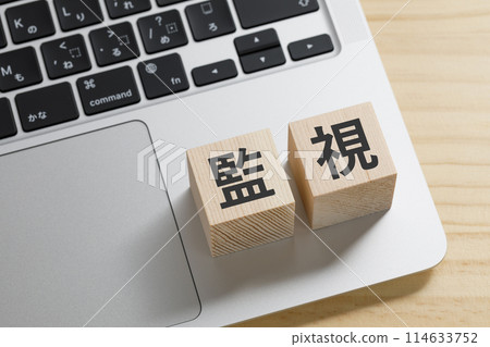 A block of building blocks with the word "surveillance" written on it A block of building blocks with the word "surveillance" written on it 114633752