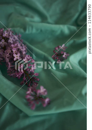 lilac on a textile background 114633790
