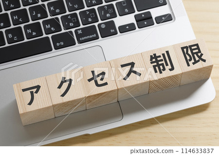 A building block with the words "restricted access" written on it A building block with the words "restricted access" written on it 114633837