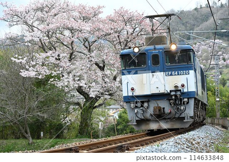 EE64 牽引貨運列車在中國山脈白尾線第二高橋川大橋上行駛 EE64 牽引貨運列車在中國山脈白尾線第二高橋川大橋上行駛 114633848