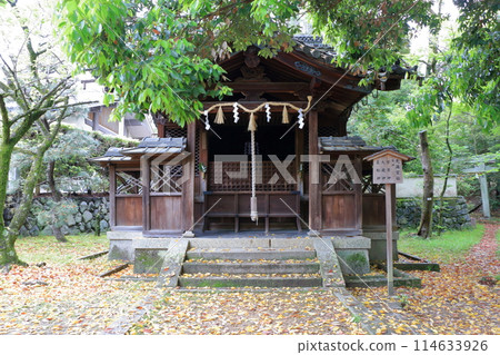 Muko-Jinja Shinto Shrine in Muko City of Kyoto Japan. Founded in the year 718 by the Mutobe clan as requested by Emperor Jinmu. Its design was copied by the Meiji Jingu in Tokyo. Muko-Jinja Shinto Shrine in Muko City of Kyoto Japan. Founded in the year 718 by the Mutobe clan as requested by Emperor Jinmu. Its design was copied by the Meiji Jingu in Tokyo. 114633926