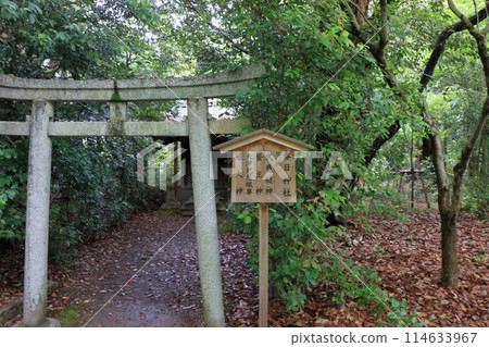 Muko-Jinja Shinto Shrine in Muko City of Kyoto Japan. Founded in the year 718 by the Mutobe clan as requested by Emperor Jinmu. Its design was copied by the Meiji Jingu in Tokyo. Muko-Jinja Shinto Shrine in Muko City of Kyoto Japan. Founded in the year 718 by the Mutobe clan as requested by Emperor Jinmu. Its design was copied by the Meiji Jingu in Tokyo. 114633967