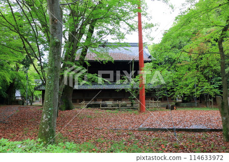 Muko-Jinja Shinto Shrine in Muko City of Kyoto Japan. Founded in the year 718 by the Mutobe clan as requested by Emperor Jinmu. Its design was copied by the Meiji Jingu in Tokyo. 114633972