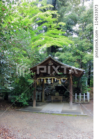 Muko-Jinja Shinto Shrine in Muko City of Kyoto Japan. Founded in the year 718 by the Mutobe clan as requested by Emperor Jinmu. Its design was copied by the Meiji Jingu in Tokyo. 114633973