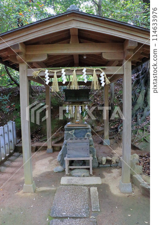 Muko-Jinja Shinto Shrine in Muko City of Kyoto Japan. Founded in the year 718 by the Mutobe clan as requested by Emperor Jinmu. Its design was copied by the Meiji Jingu in Tokyo. Muko-Jinja Shinto Shrine in Muko City of Kyoto Japan. Founded in the year 718 by the Mutobe clan as requested by Emperor Jinmu. Its design was copied by the Meiji Jingu in Tokyo. 114633976
