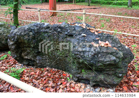 Muko-Jinja Shinto Shrine in Muko City of Kyoto Japan. Founded in the year 718 by the Mutobe clan as requested by Emperor Jinmu. Its design was copied by the Meiji Jingu in Tokyo. Muko-Jinja Shinto Shrine in Muko City of Kyoto Japan. Founded in the year 718 by the Mutobe clan as requested by Emperor Jinmu. Its design was copied by the Meiji Jingu in Tokyo. 114633984