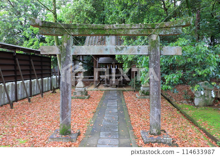 Muko-Jinja Shinto Shrine in Muko City of Kyoto Japan. Founded in the year 718 by the Mutobe clan as requested by Emperor Jinmu. Its design was copied by the Meiji Jingu in Tokyo. Muko-Jinja Shinto Shrine in Muko City of Kyoto Japan. Founded in the year 718 by the Mutobe clan as requested by Emperor Jinmu. Its design was copied by the Meiji Jingu in Tokyo. 114633987