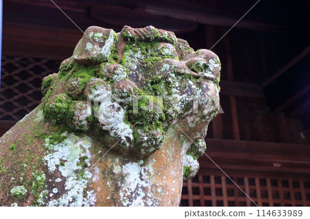 Muko-Jinja Shinto Shrine in Muko City of Kyoto Japan. Founded in the year 718 by the Mutobe clan as requested by Emperor Jinmu. Its design was copied by the Meiji Jingu in Tokyo. Muko-Jinja Shinto Shrine in Muko City of Kyoto Japan. Founded in the year 718 by the Mutobe clan as requested by Emperor Jinmu. Its design was copied by the Meiji Jingu in Tokyo. 114633989