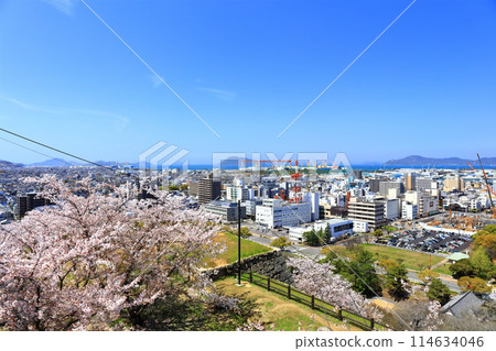 [香川縣] 春天從丸龜城看到的丸龜市區和瀨戶內海 114634046