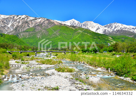 平川大橋/從平川向上游望去（長野縣白馬村） [2024.5] 114634332