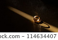 Gold rings in a beam of light on a black background 114634407