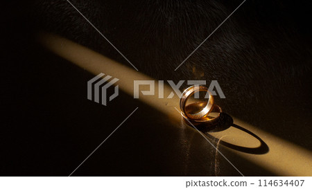 Gold rings in a beam of light on a black background Gold rings in a beam of light on a black background 114634407