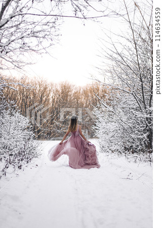 Girl in a pink dress in a winter snowy forest 114634559