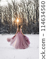 Girl in a pink dress in a winter snowy forest 114634560