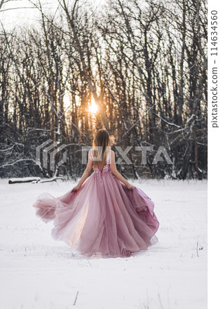 Girl in a pink dress in a winter snowy forest Girl in a pink dress in a winter snowy forest 114634560
