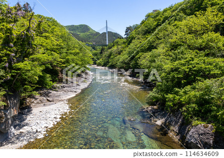 初夏的水上溫泉，從諏訪峽長廊所看到的利根川 114634609