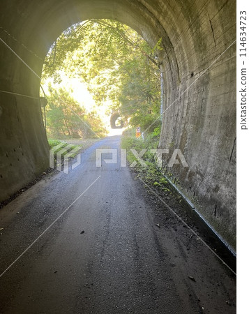 The road at the end of the tunnel 114634723