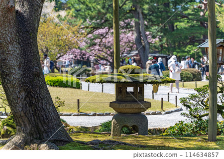 金澤兼六園的春天景色 金澤兼六園的春天景色 114634857