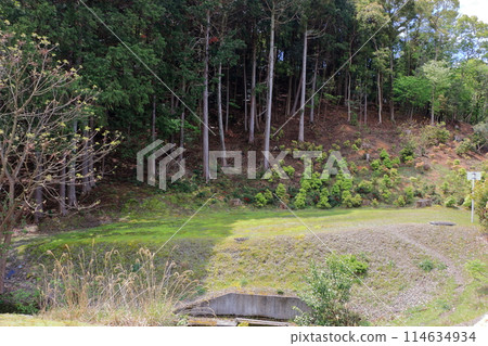 Scenes of nature in Takaragaike park in Kyoto Japan 114634934